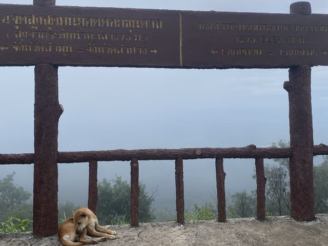 ชมธรรมชาติกับอุทยานแห่งชาติดอยขุนตาล⛰️🪵