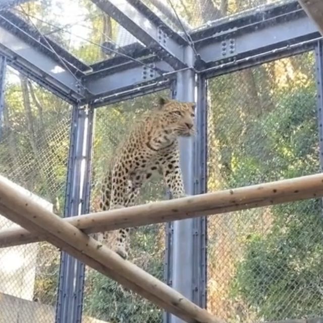 《福岡》動物と植物を同時に楽しめるSPOT🐒