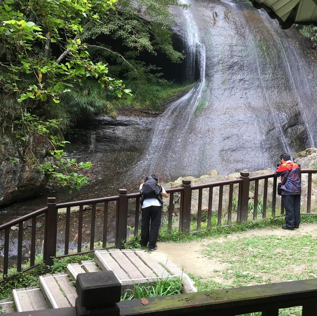 ［南投杉林溪森林］炎夏親子嘅避暑勝地😎