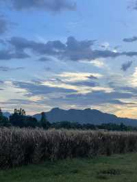 จุดชมวิวหนองสมอ⛰️