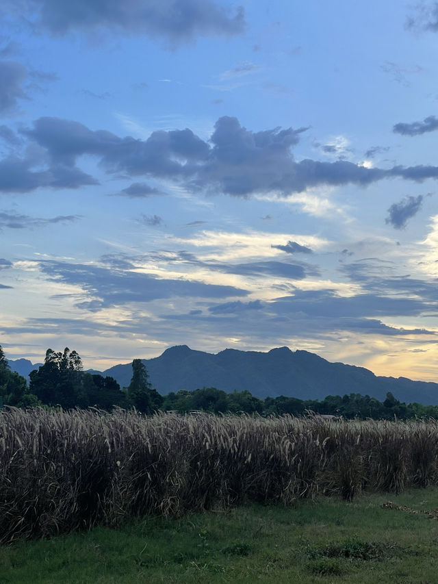จุดชมวิวหนองสมอ⛰️