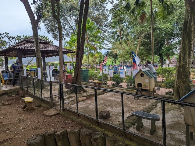 Melaka Crocodile Farm ✨