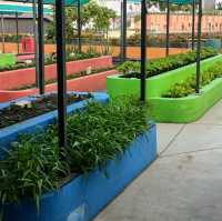Rooftop Community Garden 