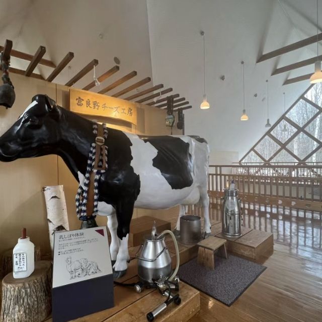 迷戀奶酪的天堂🗺️富良野奶酪廠🧀🏭