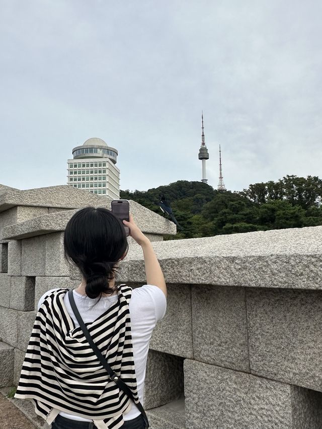 선선한 날, 산책하기 좋은 곳 [남산공원 백범광장]