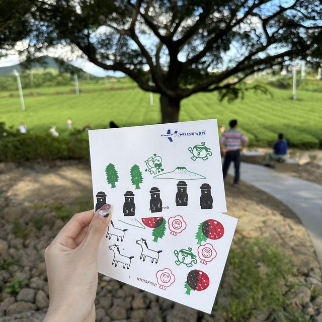 24h in Jeju - Innisfree Jeju House