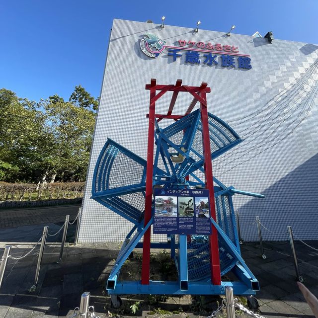 【北海道】サケのふるさと千歳水族館