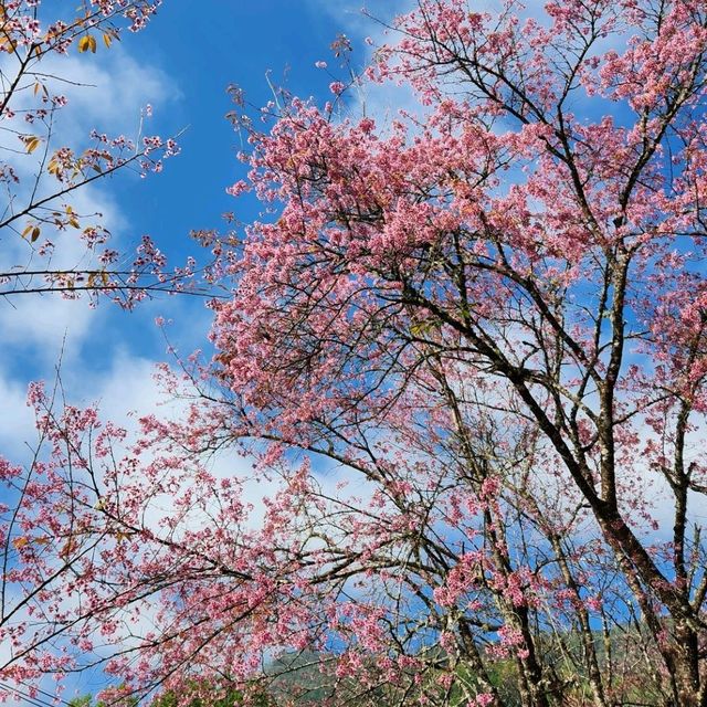 น้ำตกวชิรธาร - อุทยานแห่งชาติดอยอินทนนท์