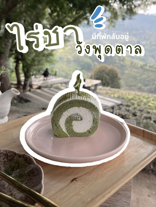ไร่ชาวังพุดตาล บรรยากาศดีแบบ100% ⛩️🌱🍃