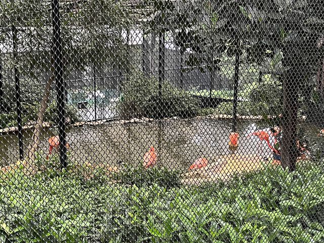 本地動物園—香港動植物公園