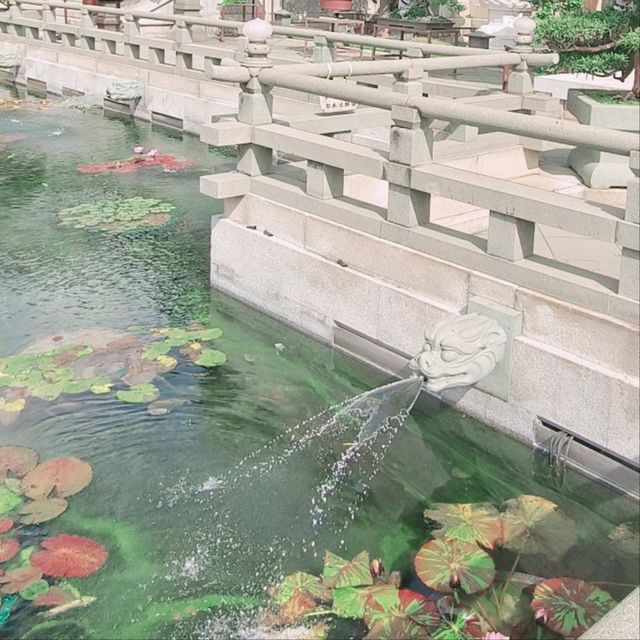 蓮園，請和你的伴侶逛一圈！祝福你們，感情似水伴蓮！