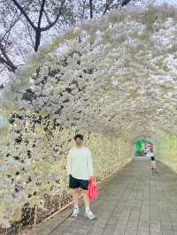 밤에 더 이쁜 안산 별빛마을포토랜드 ✨