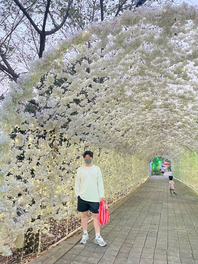 밤에 더 이쁜 안산 별빛마을포토랜드 ✨