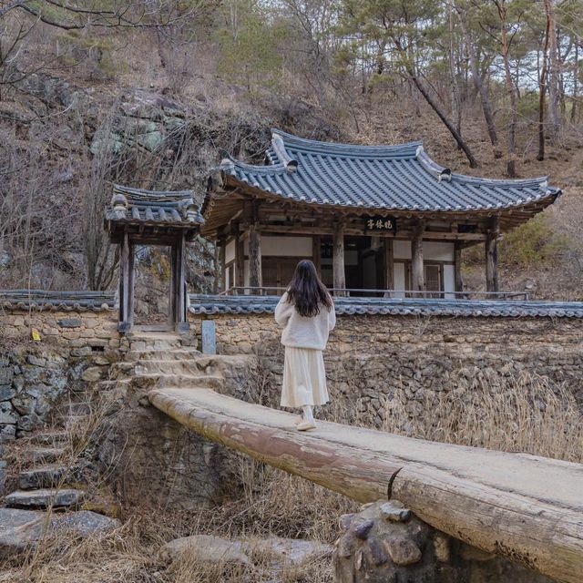 ❄️더 특별한 겨울모습의 안동을 만날 수 있는곳 [안동, 만휴정] ❄️