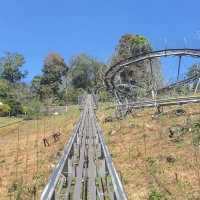 Pongyang Zipline and Jungle Coaster