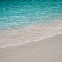 เกาะพีพี อ่าวมาหย่า-ปิเละลากูน-เกาะไผ่ จ.กระบี่  🌊