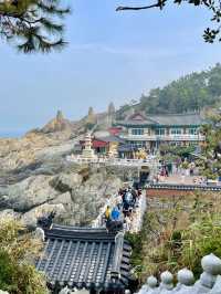 부산 기장 해동용궁사 부산여행에 꼭 넣으세요❣️