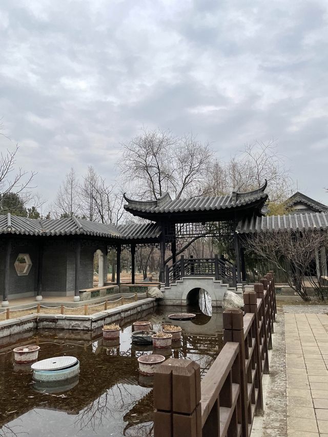 수원 드라마 촬영지로 유명한 중국 전통 정원🪞 [수원_효원공원 월화원]