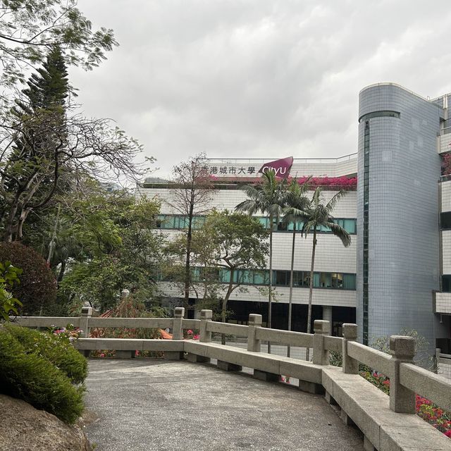 Chinese Garden at City University 