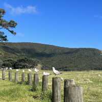 The best northland campground! 