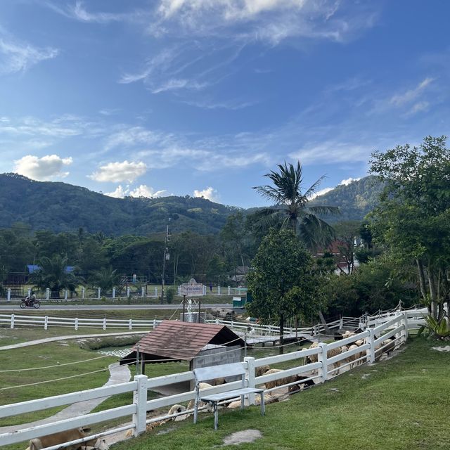 ลานสกา ชีพ ฟาร์ม