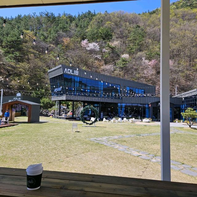 전주 근교 펫존이 있는 대형카페 애드리브