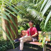 Mount Coot-Tha