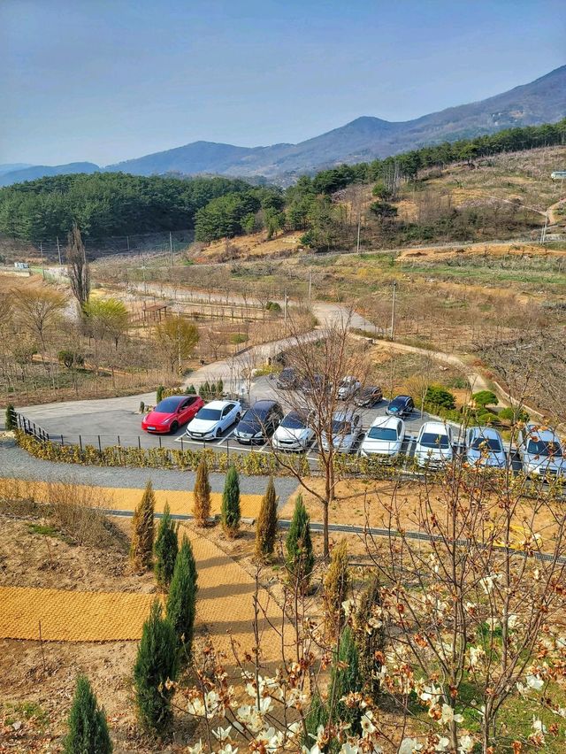 식물복합공간 청도 신상카페 소우모우🌳
