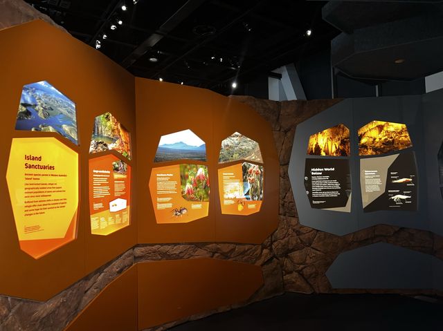 My Ancestors' 🤩🥰 Museum of my vibe🫢😝