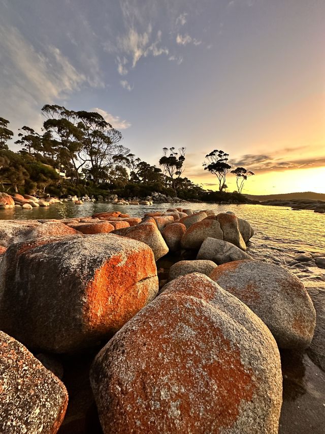 Tasmania is underrated! + MILKY WAY! (part 2)