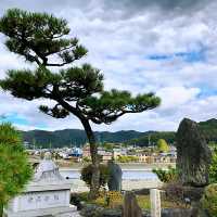 宇治抹茶一條街