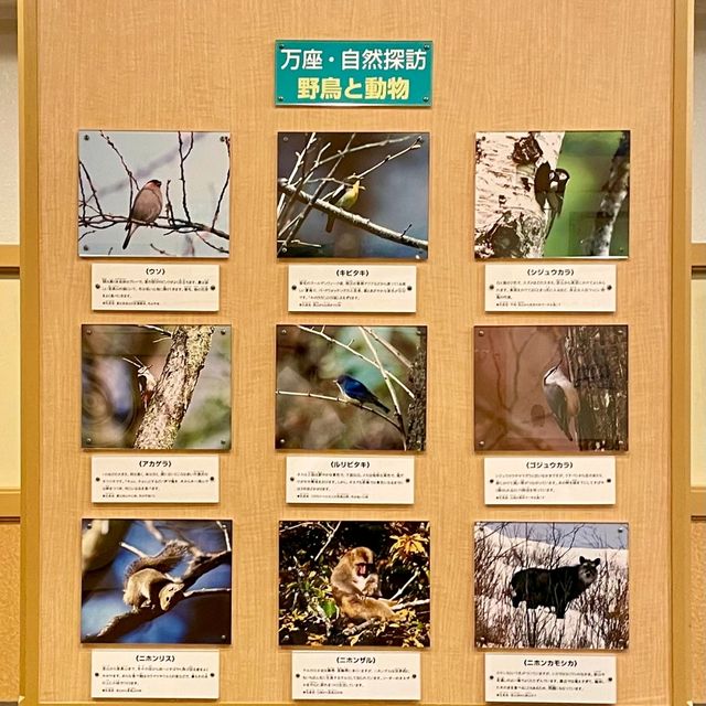 小さなお子さん連れの旅行にもオススメ　万座ホテル聚楽