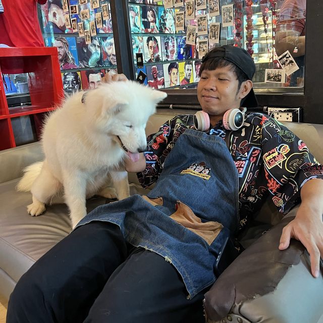 กอดน้องหมา เล่นน้องแมว กินของอร่อยแถวทวีวัฒนา