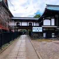 Relaxing Stroll at Ueno Park