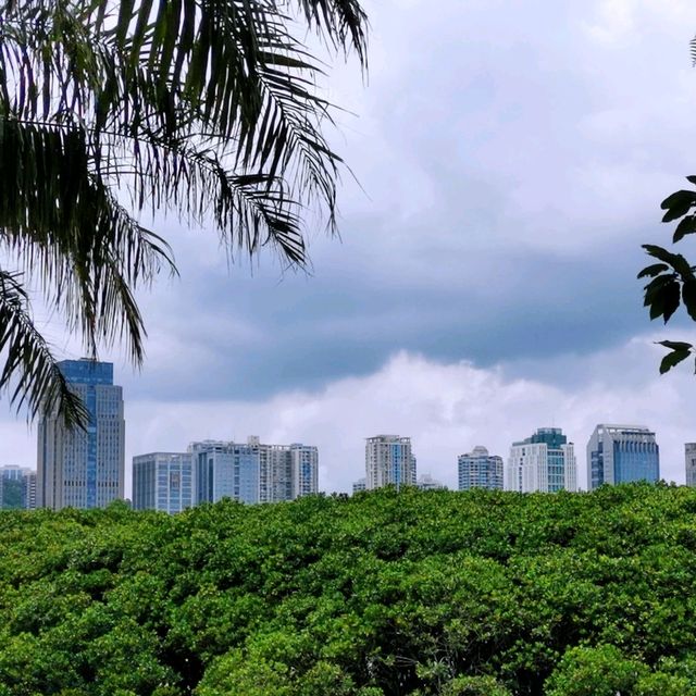 深圳灣公園•紅樹林區