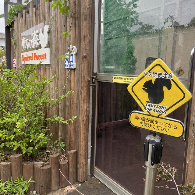 【動物全接觸】神戶動物王國🦚