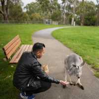 "Cleland Wildlife Park: A Serene Sanctuary fo