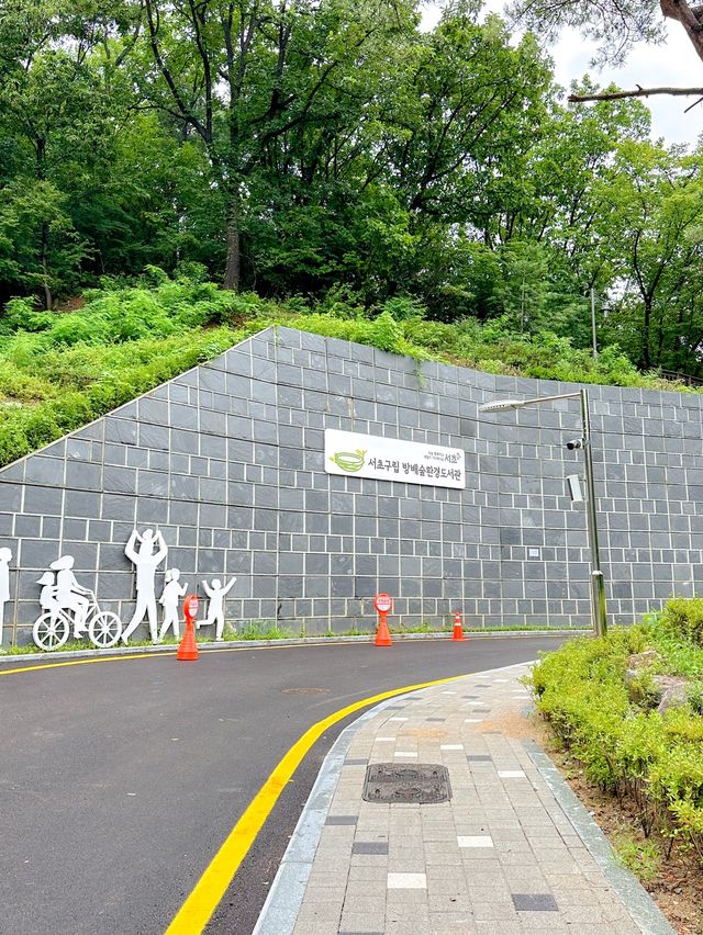 요즘 떠오르는 핫플 서초구립방배숲환경도서관📚