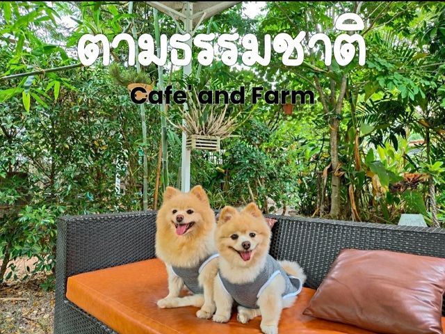 Café and Farm วิวดี ติดธรรมชาติ 