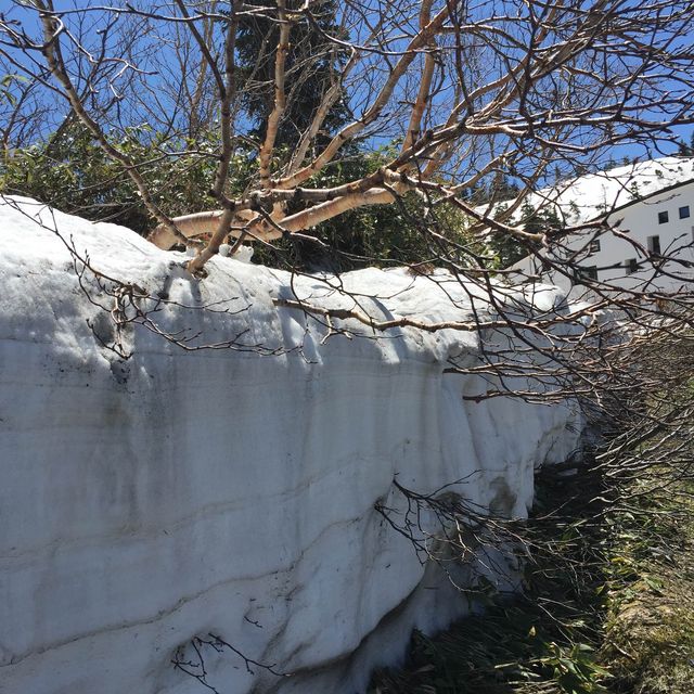 立山彌陀之原 ｜感受雪牆之路❄️❄️❄️