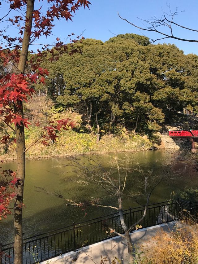 天王寺5分鐘🙉鬧市中秘境👍🏻慶澤園‼️