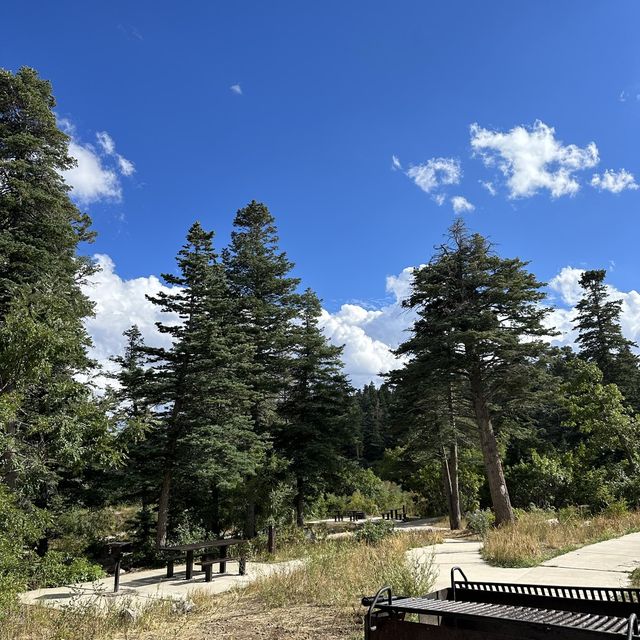 Bond with nature at Sandia Mountain