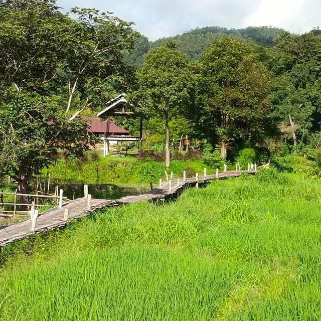 📍แวะเที่ยวสะพานบุญโขกู้สุ่ย หมู่บ้านแพมบก ปาย