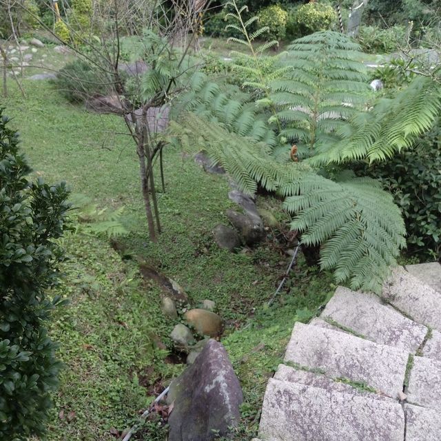 探索神秘的瑪陵坑⛩️基隆的寶藏地！🌳⛰️🌿 