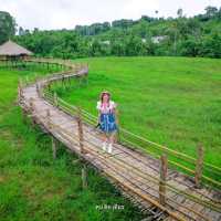 แลนด์มาร์คแห่งใหม่ ถ่ายรูปกับน้องแกะน่ารักๆบนดอย🐑🐏