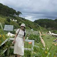 Makakamp coffee in Dalat