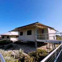 Picture Perfect Discovery Rottnest 