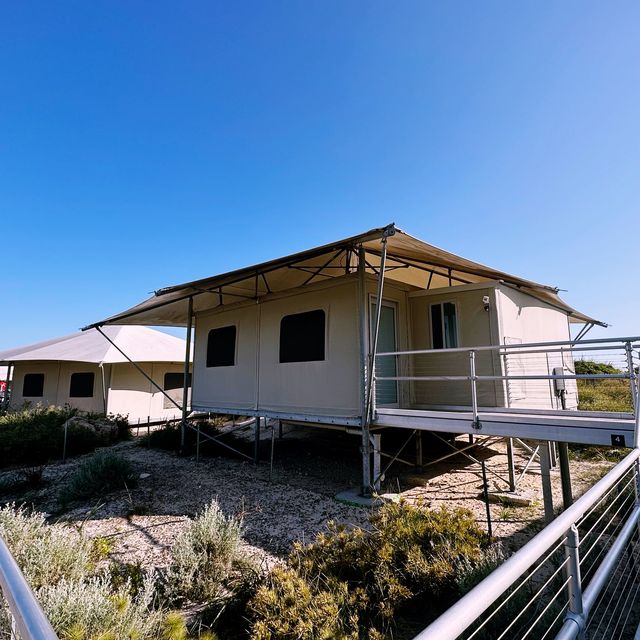 Picture Perfect Discovery Rottnest 