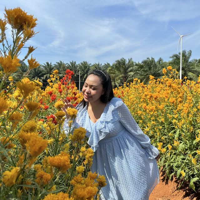 สวนดอกไม้ ไร่คุณอารียา @ กระบี่ 
