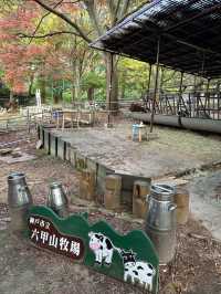 六甲山牧場—帶娃必去！
